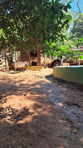 Foto 39 de Cidade da Criança