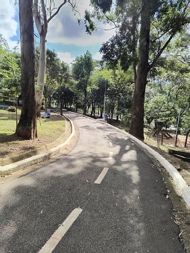 Foto 12 de Parque do Paço