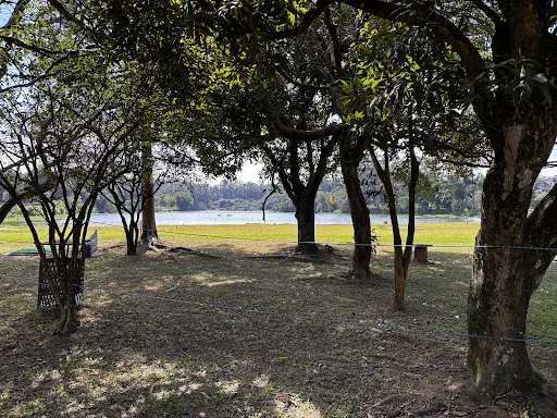 Foto 33 de Parque Tietê Ecológico Barueri