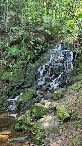 Foto 8 de Parque Estadual Cantareira - Núcleo Cabuçu