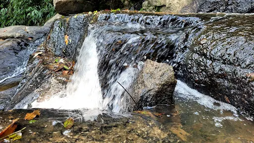 Foto 8 de Trilha Cachoeira da Graça