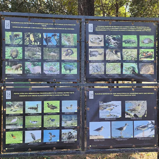 Foto 19 de Centro de Educação Ambiental - Parque Ecológico do Tietê