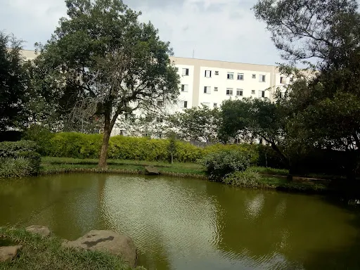 Foto 19 de Parque Takebe