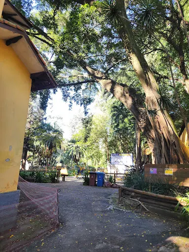 Foto 11 de Parque da Água Branca