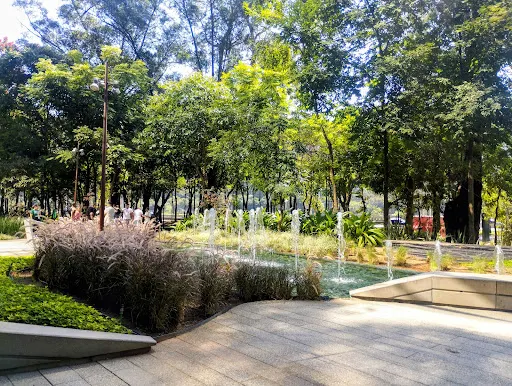 Foto 12 de Parque da Cidade - Torre Tarumã