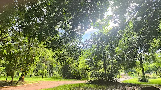 Foto 10 de Parque dos Jacarandás