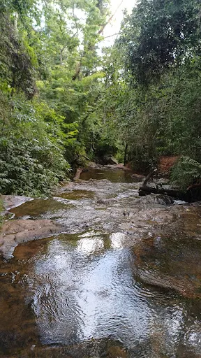 Foto 20 de Cachoeira do Vau Novo