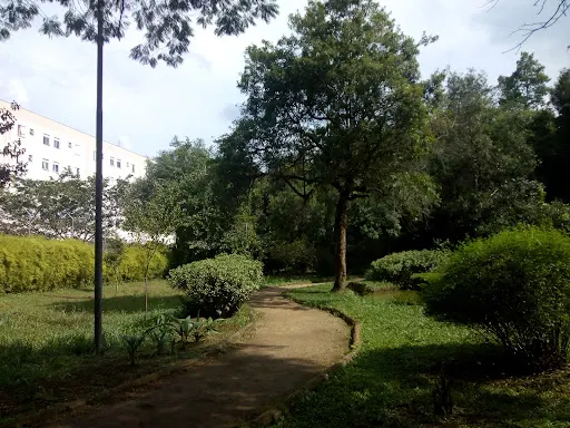 Foto 31 de Parque Takebe