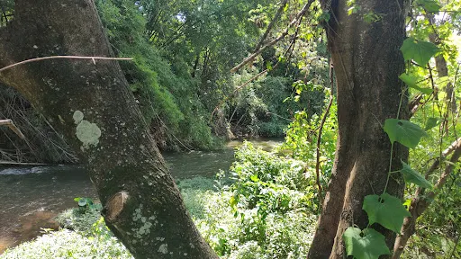 Foto 10 de Cachoeira da Chave