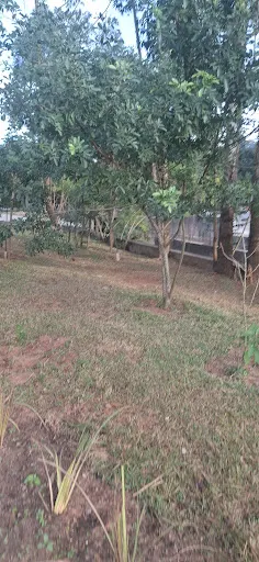 Foto 32 de Parque Ecológico Fernando Vitor de Araújo Ales (Pq. do Eldorado)