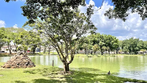 Foto 35 de Parque Lagoa dos Pássaros