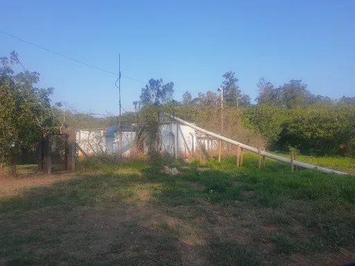 Foto 40 de Horto Florestal Sumaré-SP