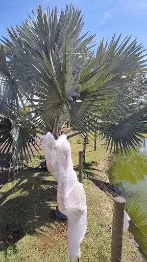 Foto 11 de Parque Cidade das Crianças