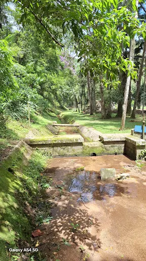 Foto 24 de Parque Estadual Cantareira - Núcleo Pedra Grande
