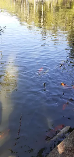 Foto 12 de Parque Horto Florestal - Portões 1 e 2