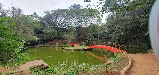 Foto 6 de Parque Takebe