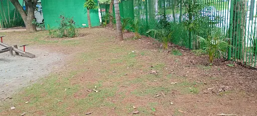 Foto 11 de Parque Ecológico Dionísio Alvarez Mateos