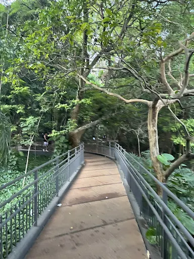 Foto 14 de Parque Augusta - Prefeito Bruno Covas