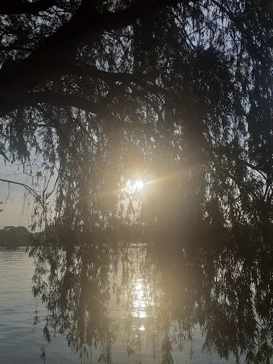 Foto 17 de Lagoa Parque Ecológico do Tietê