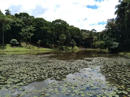 Foto 19 de Parque Estadual das Fontes do Ipiranga