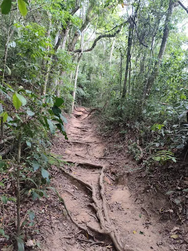 Foto 10 de CACHOEIRA DA GRAÇA COTIA