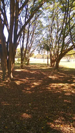 Foto 40 de Parque Ecológico do Tiete