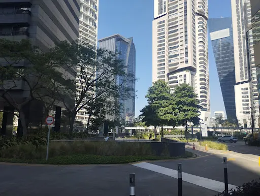 Foto 19 de Parque da Cidade - Torre Tarumã