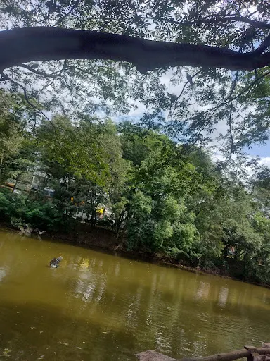 Foto 26 de Parque Ecológico Dionísio Alvarez Mateos