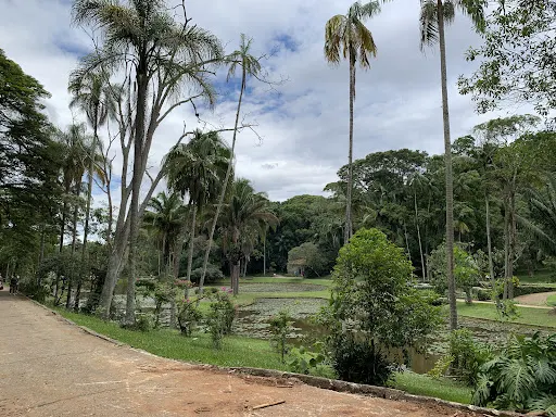 Foto 26 de Jardim Botânico de São Paulo