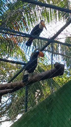 Foto 17 de Zoo São Paulo