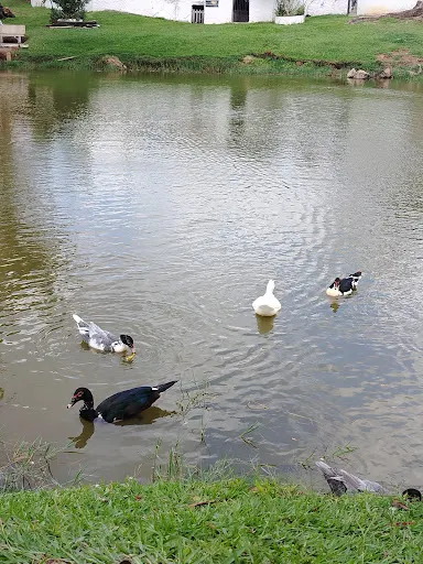 Foto 21 de Camping Rio Manso