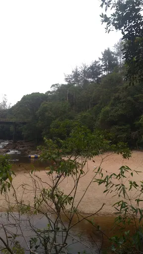 Foto 29 de SelvaSP - Parque De Aventura - Cachoeira Do Marsilac