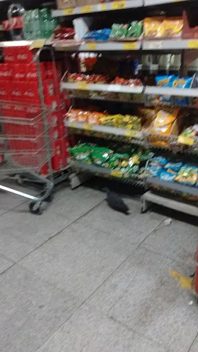 Foto 12 de Dia Supermercado