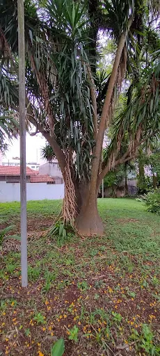 Foto 40 de Parque Antônio Fláquer Ipiranguinha