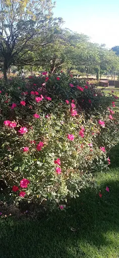Foto 10 de Bloemen Park