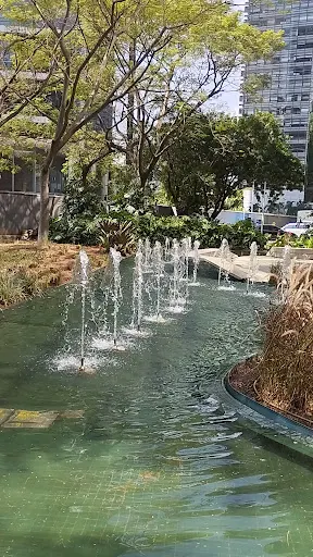 Foto 10 de Parque da Cidade - Torre Tarumã