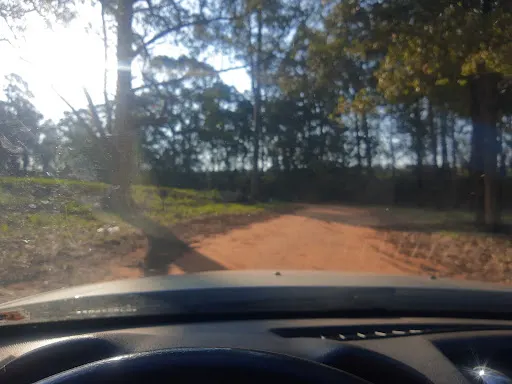 Foto 37 de Horto Florestal Sumaré-SP