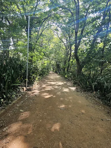 Foto 26 de Parque Ecológico Prof. Hermógenes de Freitas Leitão