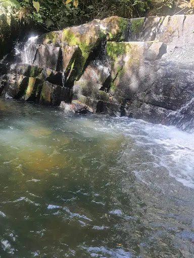 Foto 20 de Cachoeira do Palomar