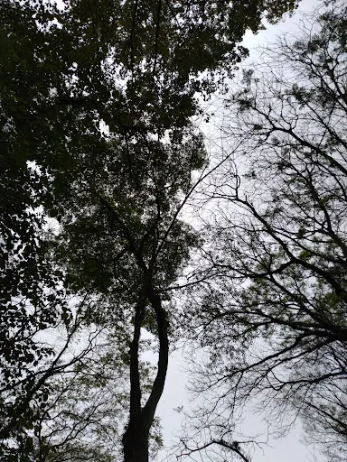 Foto 19 de Parque Domingos Luís