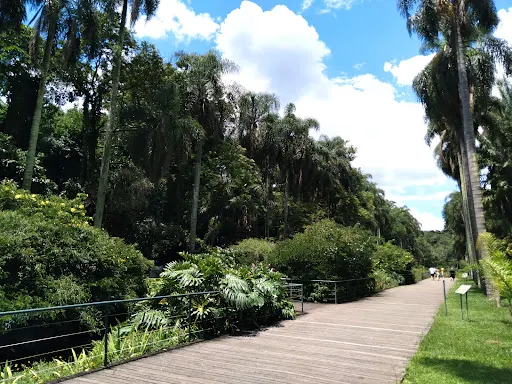 Foto 5 de Parque Estadual das Fontes do Ipiranga