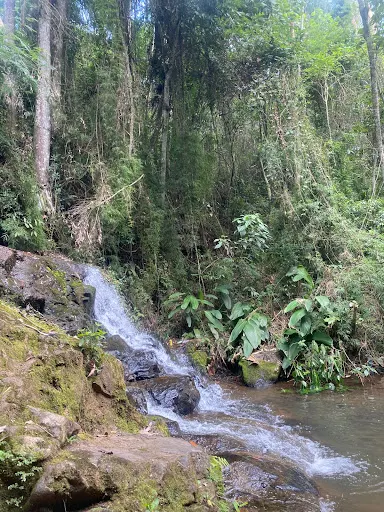 Foto 22 de Cachoeira do Vau Novo