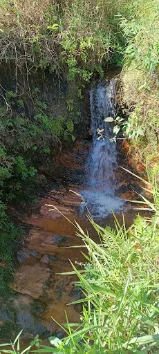 Foto 32 de Cachoeira Parque do Juquery