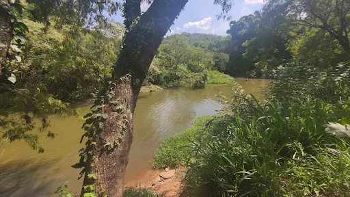 Foto 13 de Cachoeira da Chave