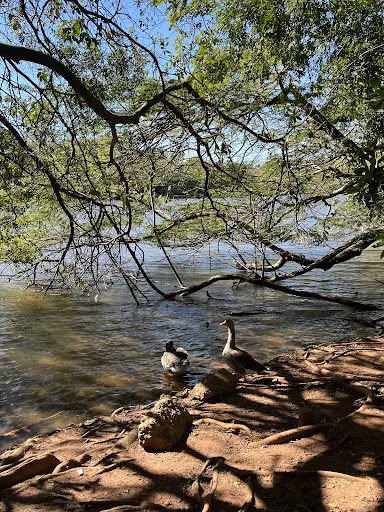 Foto 17 de Parque Ecológico Prof. Hermógenes de Freitas Leitão