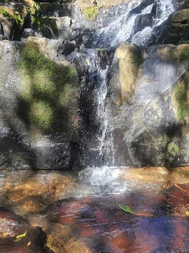 Foto 29 de Cachoeira do Palomar