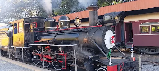 Foto 39 de Passeio de trem - Maria Fumaça Campinas