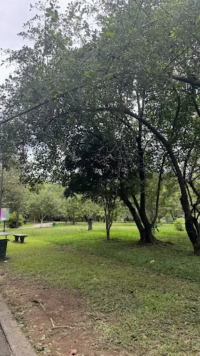 Foto 17 de Parque Tietê Ecológico Barueri