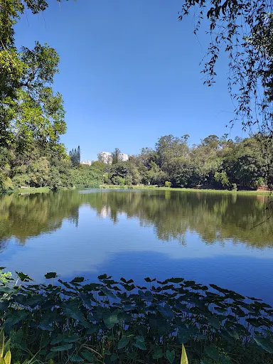 Foto 22 de Parque da Aclimação