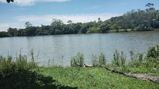 Foto 38 de Trem Turístico - Parque Ecológico
